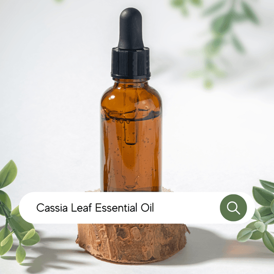 Cassia Leaf Essential Oil - Conventional - SA Fragrance Oils