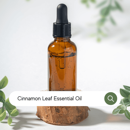 Cinnamon Leaf Essential Oil - Conventional - SA Fragrance Oils