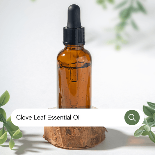 Clove Leaf Essential Oil - Conventional - SA Fragrance Oils