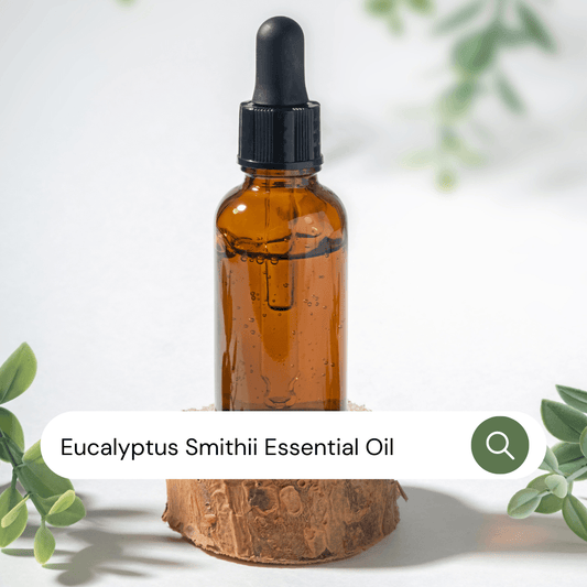 Eucalyptus smithii Essential Oil - Organic - SA Fragrance Oils