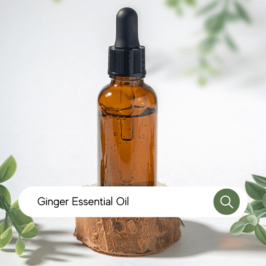 Ginger Essential Oil - Organic - SA Fragrance Oils